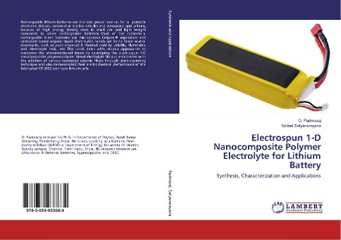 Electrospun 1-D Nanocomposite Polymer Electrolyte for Lithium Battery: Synthesis, Characterization and Applications