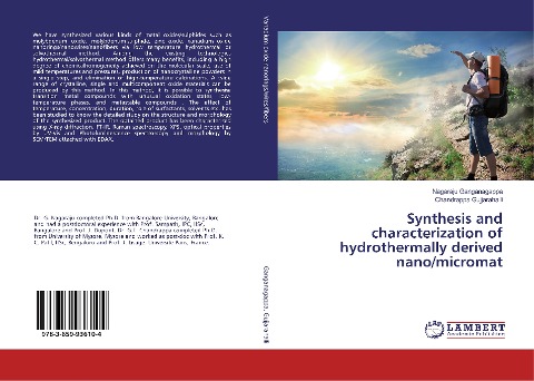 Synthesis and characterization of hydrothermally derived nano/micromat