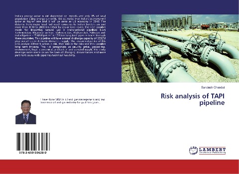 Risk analysis of TAPI pipeline