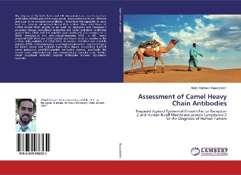 Assessment of Camel Heavy Chain Antibodies: Prepared Against Epidermal Growth Factor Receptor-2 and Human B-cell Membrane protein Lymphoma-2 for the Diagnosis of Human Tumors