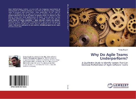 Why Do Agile Teams Underperform?: A Qualitative Study to Identify Factors That Can Decrease Performance of Agile Software Teams