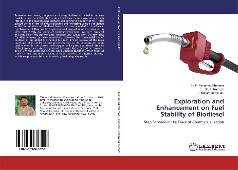 Exploration and Enhancement on Fuel Stability of Biodiesel: Step Forward in the Track of Commercialization