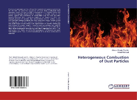 Heterogeneous Combustion of Dust Particles