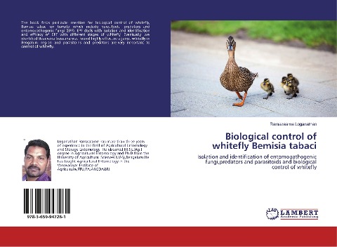 Biological control of whitefly Bemisia tabaci: Isolation and identification of entomopathogenic fungi,predators and parasitoids and biological control of whitefly
