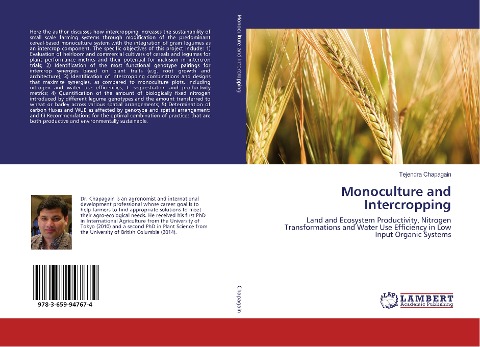 Monoculture and Intercropping: Land and Ecosystem Productivity, Nitrogen Transformations and Water Use Efficiency in Low Input Organic Systems