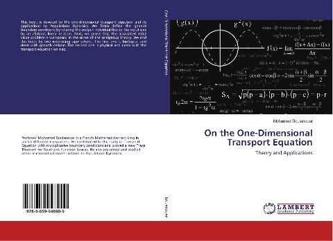 On the One-Dimensional Transport Equation: Theory and Applications