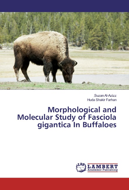 Morphological and Molecular Study of Fasciola gigantica In Buffaloes