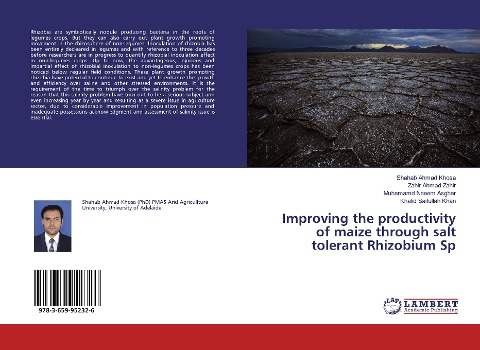Improving the productivity of maize through salt tolerant Rhizobium Sp