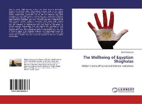 The Wellbeing of Egyptian Shaghalas: Hidden Victims of Formal and Informal Institutions