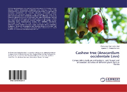Cashew tree (Anacardium occidentale Linn): Comparative study on antibacterial, anti-fungal and antioxidant activities of different plant parts in Kerala