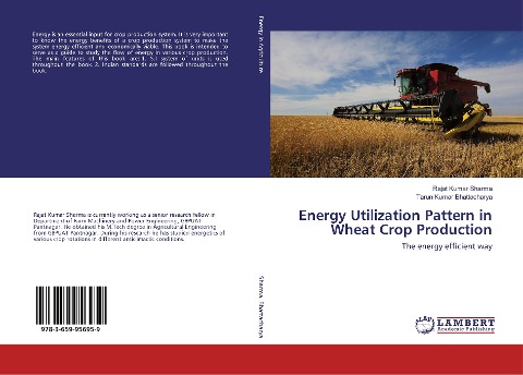 Energy Utilization Pattern in Wheat Crop Production: The energy efficient way