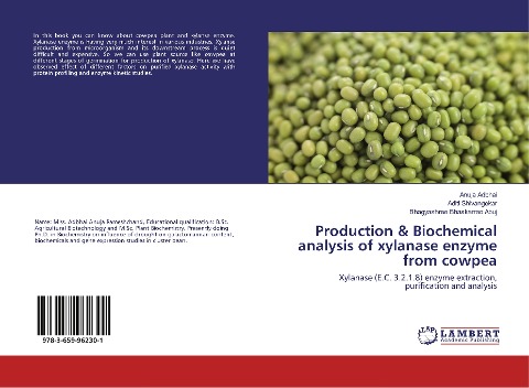 Production & Biochemical analysis of xylanase enzyme from cowpea: Xylanase (E.C. 3.2.1.8) enzyme extraction, purification and analysis