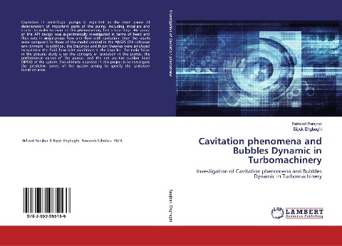 Cavitation phenomena and Bubbles Dynamic in Turbomachinery: Investigation of Cavitation phenomena and Bubbles Dynamic in Turbomachinery