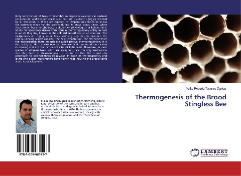 Thermogenesis of the Brood Stingless Bee