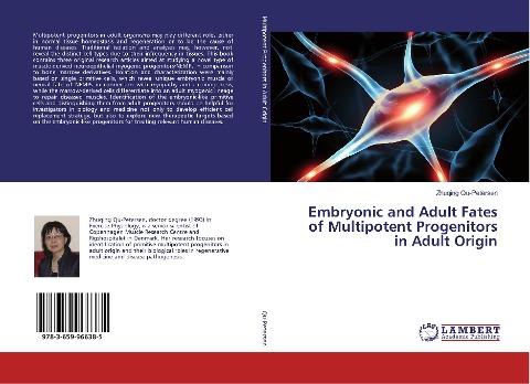 Embryonic and Adult Fates of Multipotent Progenitors in Adult Origin