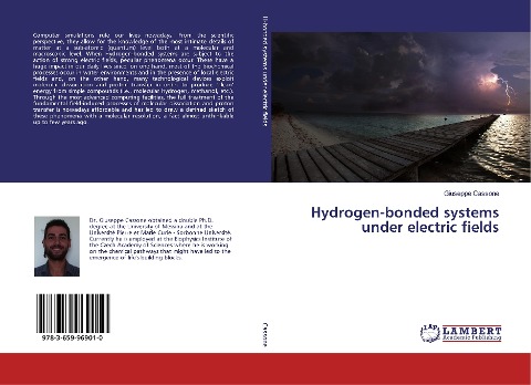 Hydrogen-bonded systems under electric fields