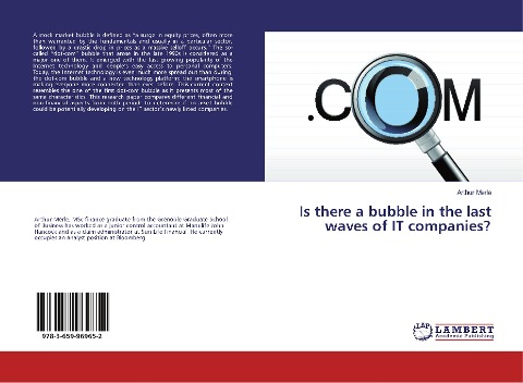 Is there a bubble in the last waves of IT companies?