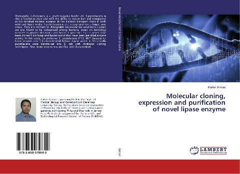 Molecular cloning, expression and purification of novel lipase enzyme