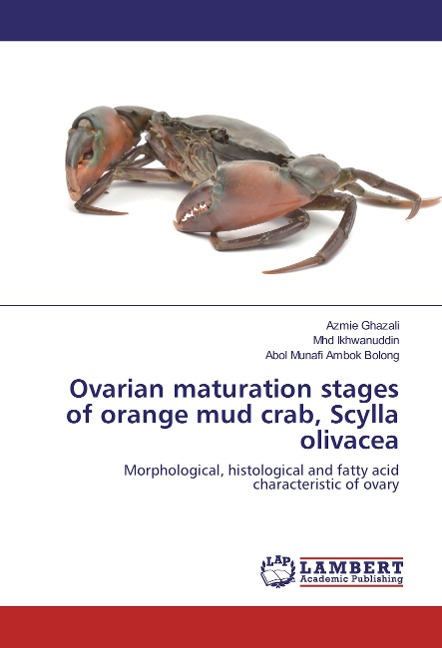 Ovarian maturation stages of orange mud crab, Scylla olivacea: Morphological, histological and fatty acid characteristic of ovary