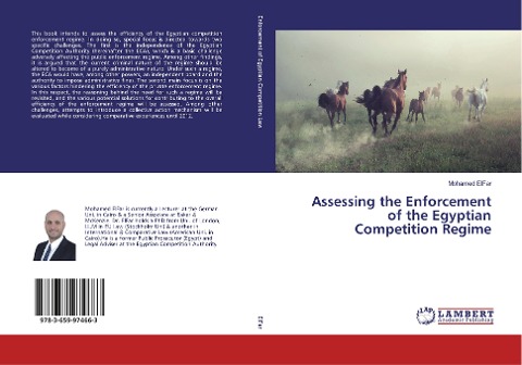 Assessing the Enforcement of the Egyptian Competition Regime