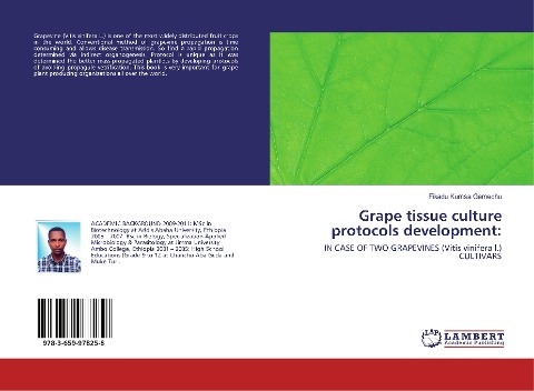 Grape tissue culture protocols development:: IN CASE OF TWO GRAPEVINES (Vitis vinifera l.) CULTIVARS