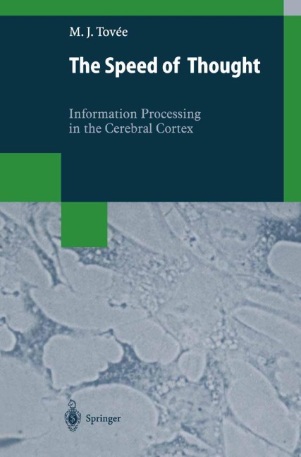 The Speed of Thought: Information Processing in the Cerebral Cortex