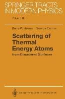 Scattering of Thermal Energy Atoms: from Disordered Surfaces