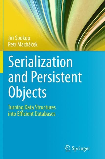 Serialization and Persistent Objects: Turning Data Structures into Efficient Databases