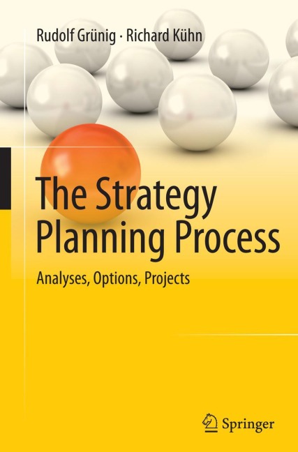 The Strategy Planning Process: Analyses, Options, Projects