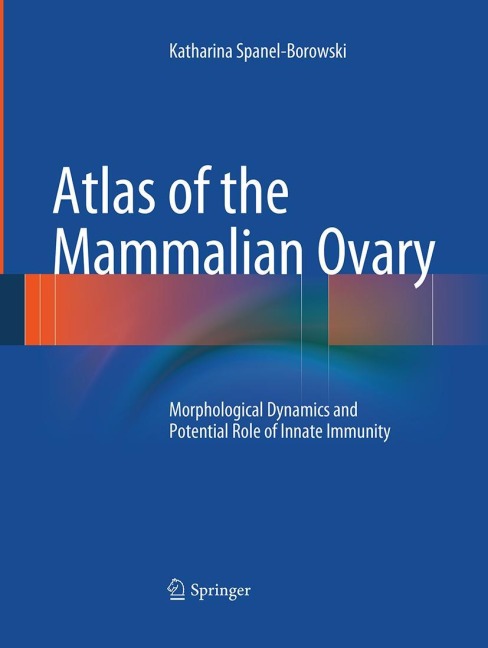 Atlas of the Mammalian Ovary: Morphological Dynamics and Potential Role of Innate Immunity