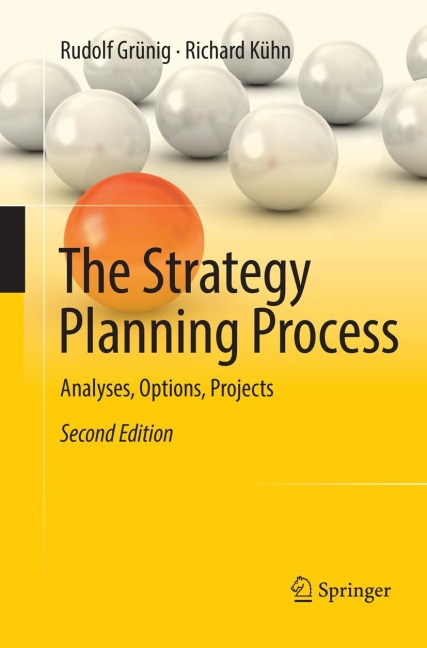 The Strategy Planning Process: Analyses, Options, Projects