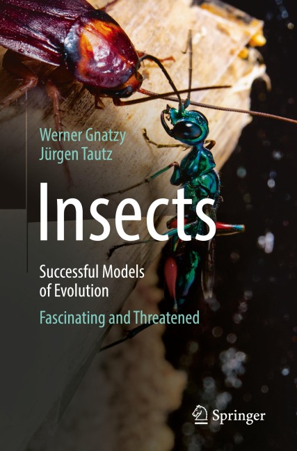 Insects - Successful Models of Evolution: Fascinating and Threatened