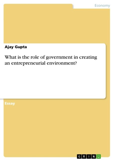 What is the role of government in creating an entrepreneurial environment?