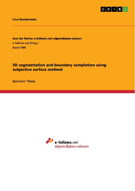 3D segmentation and boundary completion using subjective surface method