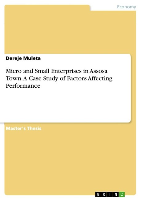 Micro and Small Enterprises in Assosa Town. A Case Study of Factors Affecting Performance