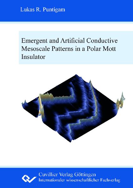 Emergent and artificial conductive mesoscale patterns in a polar Mott insulator