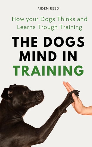 The Dogs Mind in Training How Your Dogs Thinks and Learns Trough Training