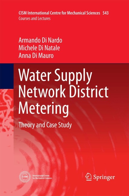 Water Supply Network District Metering: Theory and Case Study