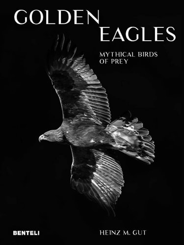 Golden Eagles Legendary Birds of Prey