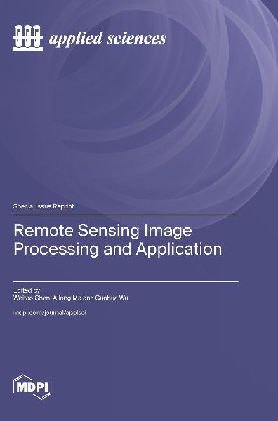 Remote Sensing Image Processing and Application