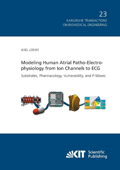 Modeling Human Atrial Patho-Electrophysiology from Ion Channels to ECG - Substrates, Pharmacology, Vulnerability, and P-Waves
