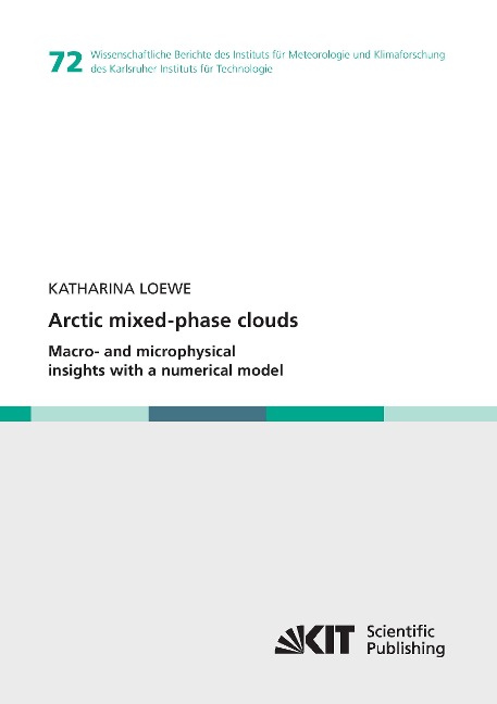 Arctic mixed-phase clouds :  Macro- and microphysical insights with a numerical model