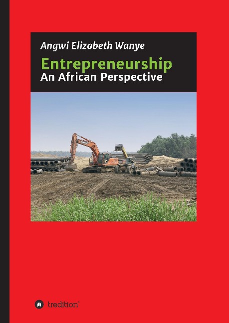 Entrepreneurship: An African Perspective
