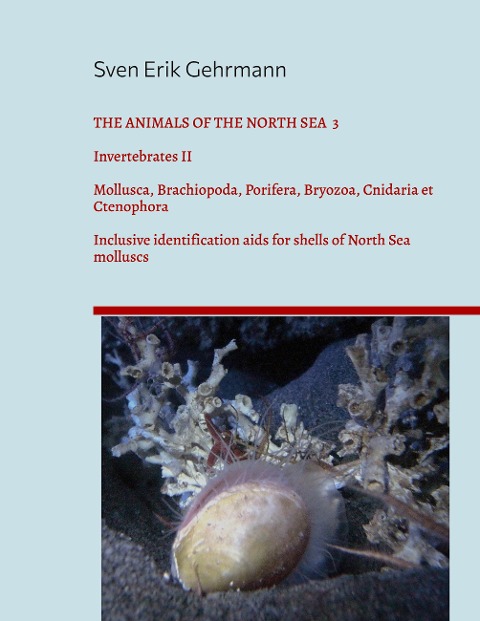 The Animals Of The North Sea 3: Invertebrates II - Mollusca, Brachiopoda, Porifera, Bryozoa, Cnidaria et Ctenophora Inclusive identification aids for shells of North Sea molluscs