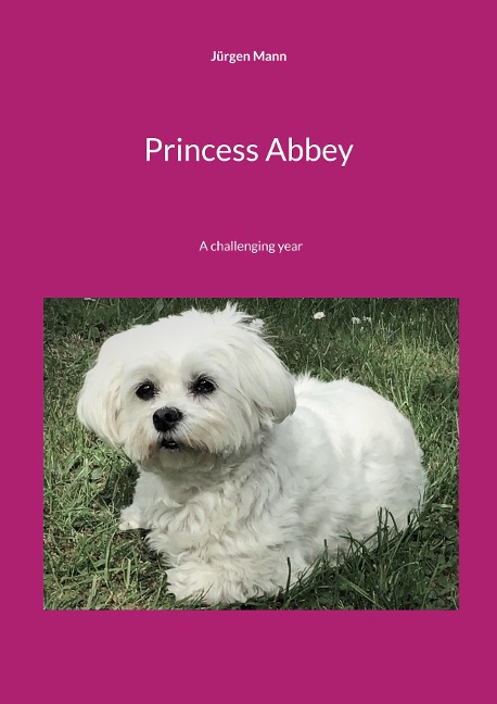 Princess Abbey: A challenging year