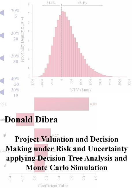 Project Valuation and Decision Making under Risk and Uncertainty applying Decision Tree Analysis and Monte Carlo Simulation