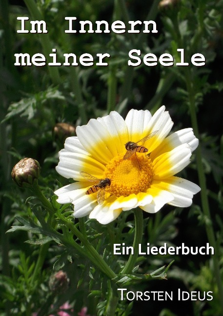 Im Innern meiner Seele: Ein Liederbuch