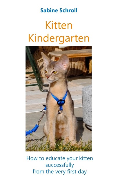 Kitten Kindergarten: How to educate your kitten successfully from the very first day
