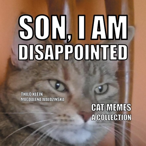 Cat-Memes: a collection