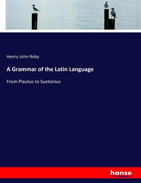 A Grammar of the Latin Language: From Plautus to Suetonius